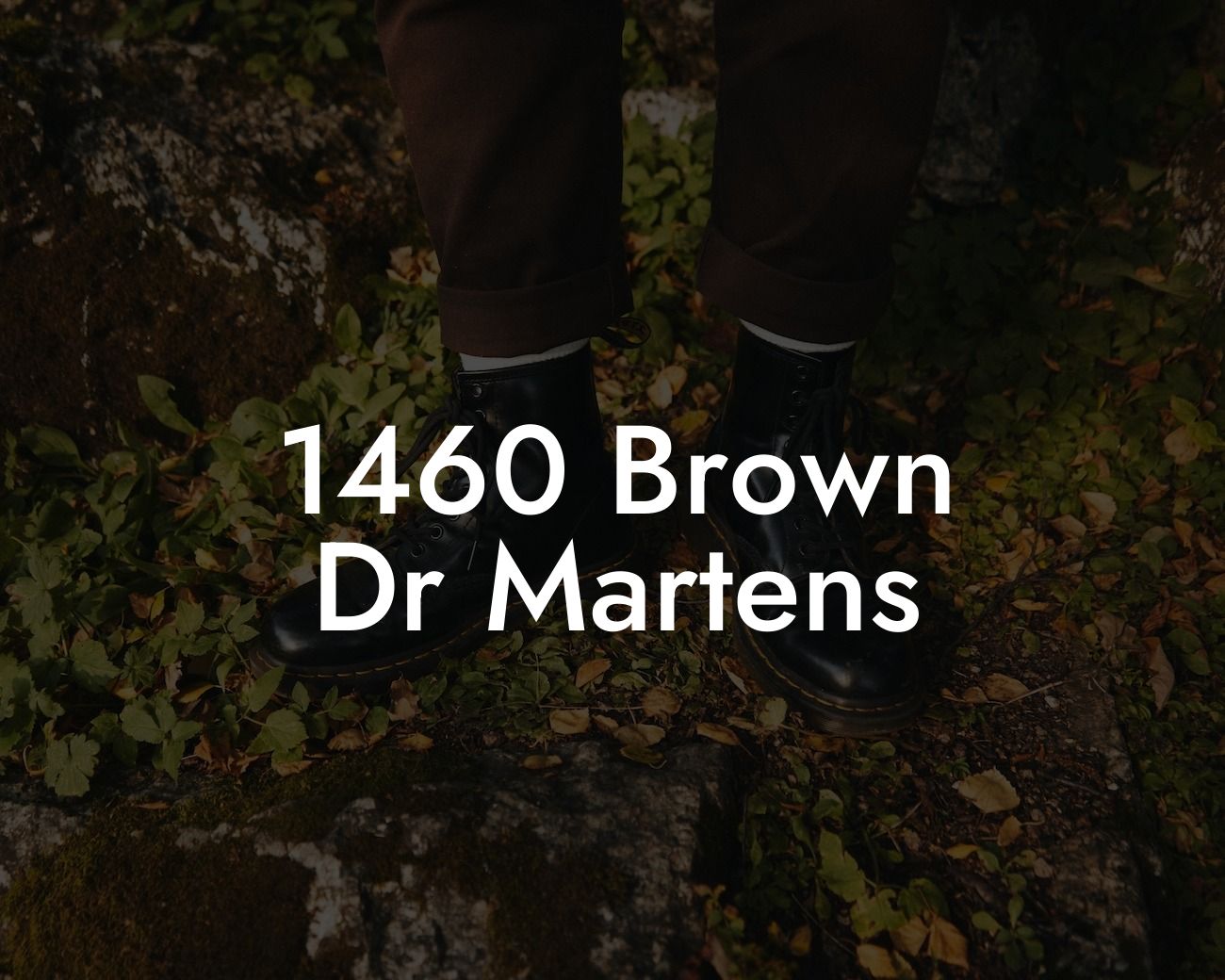 1460 Brown Dr Martens