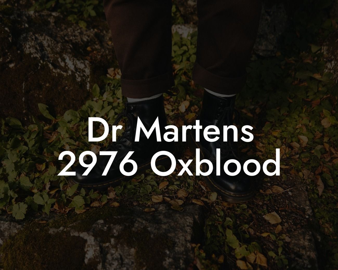 Dr Martens 2976 Oxblood