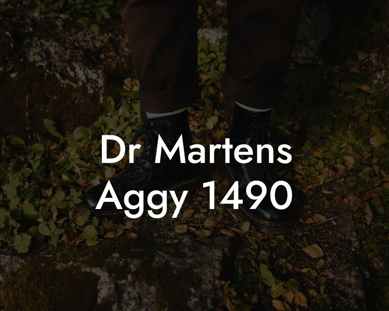 Dr Martens Aggy 1490